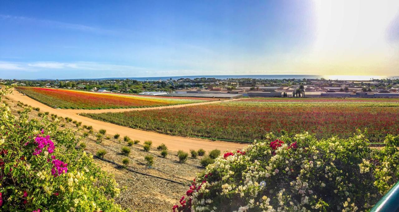 Grand Pacific Palisades Resort Carlsbad Exterior foto